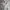 MLB Sportswear Windbreaker Pria silver white photo 6