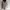 MLB Sportswear Windbreaker Pria silver white photo 2