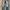 Levi’s 527 Low Bootcut Jeans photo 2