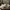 Adidas Casual Sneakers Pria gold white photo 2
