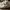 Adidas Casual Sneakers Pria White