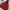 VANS Vintage Windbreaker Pria red photo 1