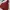 VANS Vintage Windbreaker Pria Red