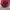VANS Vintage Windbreaker Pria red photo 3