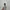 Adidas Y2K Sneakers Pria white green photo 3