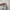 Adidas Y2K Sneakers Pria white green photo 6