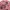 THISISNVRTHAT GD Iconography Knit Sweater - Pink photo 7