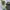 Fieldcore Gorpcore Grunge Puffer jacket Pria tan navy photo 5