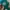New Era Sportswear Hat Pria green photo 2
