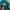 New Era Sportswear Hat Pria Green