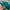 New Era Sportswear Hat Pria green photo 4
