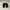 LANVIN size UK8 Sneakers Low Top Nappa Calfskin BURGUNDY photo 4
