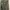 Minimalist Casual Wanita green cream photo 2
