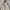 Nike Avant Garde Casual Casual pants Pria tan photo 2