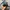 Converse One Star photo 4