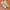 Lolita Cosplay Heels Wanita white photo 2