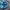 Adidas Spezial Ice Blue photo 3