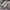 Adidas Spezial Green White photo 2