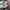 Adidas Spezial Green White photo 3