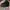 Nike Streetwear Sportswear Sneakers Pria black photo 1