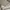 Casual Hoody Pria gray photo 3