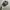 Y2K Realtree Duck Comanders by Signatures photo 5