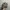 Y2K Realtree Duck Comanders By OutdoorCap