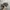Y2K Realtree Duck Comanders by Signatures photo 4