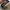 Kangol Streetwear Skater Hat Pria white photo 5