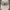 Kangol Streetwear Skater Hat Pria white photo 1