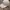 Kangol Streetwear Skater Hat Pria white photo 2