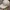 Kangol Streetwear Skater Hat Pria White