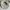 Boonie Tactical Hat Military original Made in USA size 8 photo 3