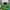 Streetwear Hat Pria green photo 1