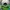 Streetwear Hat Pria Green