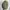 Vintage Jameson Irish Whiskey Military Cap – Olive Green