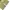 Dickies Streetwear Casual Pria khaki photo 6