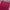 Sportswear Wanita burgundy photo 1