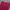 Sportswear Wanita Burgundy