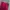 Sportswear Wanita burgundy photo 2