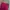 Sportswear Wanita Burgundy