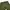 Timberland Gorpcore Avant Garde Pria green photo 5