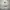 Under Armour Sportswear Hoody Pria white photo 3