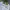 Rawlings Sportswear Casual Trench coat Pria white photo 2