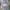 Rawlings Sportswear Casual Trench coat Pria white photo 6
