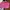 One Set photo 4