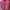 One Set photo 2
