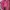 One Set photo 5