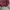 Casual Sweater Pria red photo 4