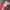 L.L.Bean Vintage Streetwear Fur coat Pria red photo 6